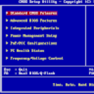 Meet your Posher, Hamid